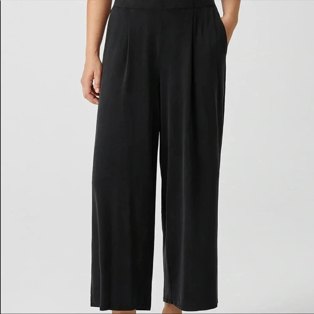 Eileen Fisher corded Tencel wide leg pleated pant size small NWT$238